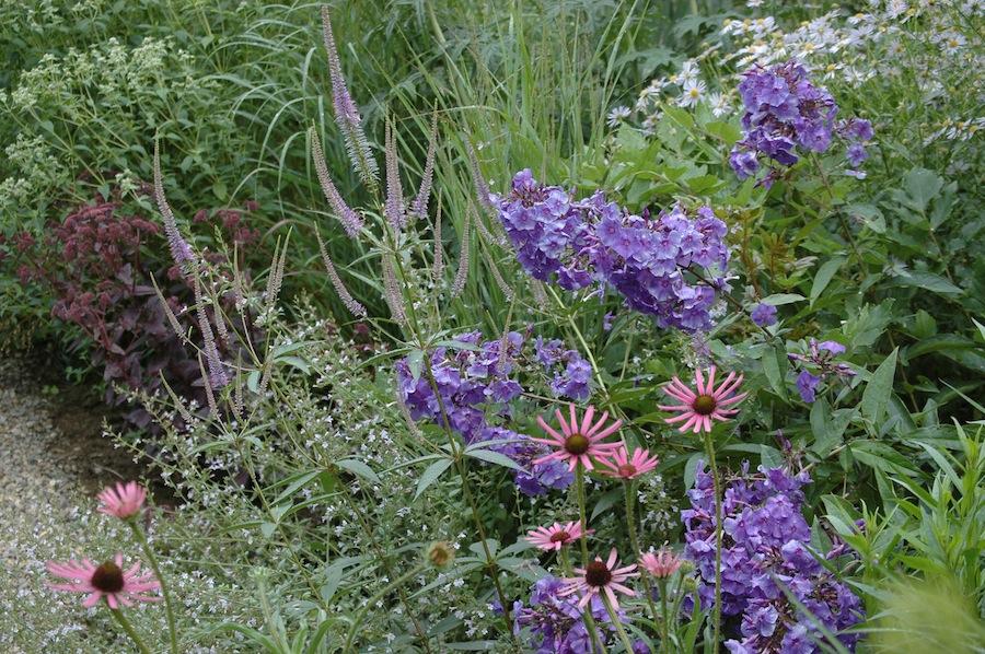 Perennial Meadow – Maine Garden Design